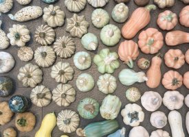 Pynt og oph&aelig;ng