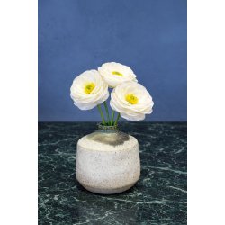 Minivase, Skovbund