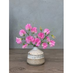 Minivase, Regnvejr
