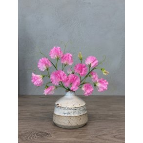 Minivase, Regnvejr