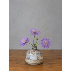 Minivase, Perlemor