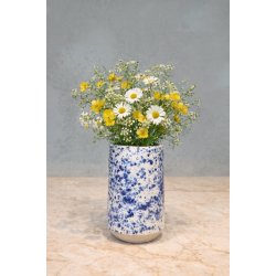 Minivase, Bl�plettet