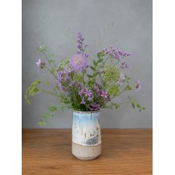 Minivase, Regnvejr