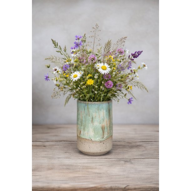 Vase, mellem, Skovdis