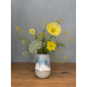 Minivase, Kyst