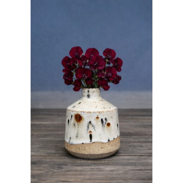 Minivase, Leo