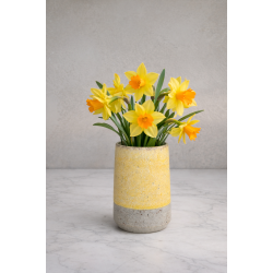 Minivase, Karrygul