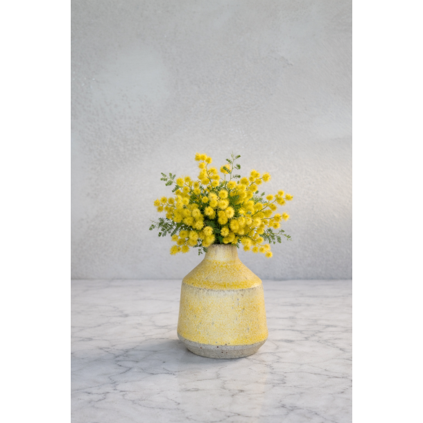 Minivase, Karrygul