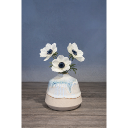 Minivase, Kyst