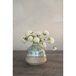 Minivase, Skovdis