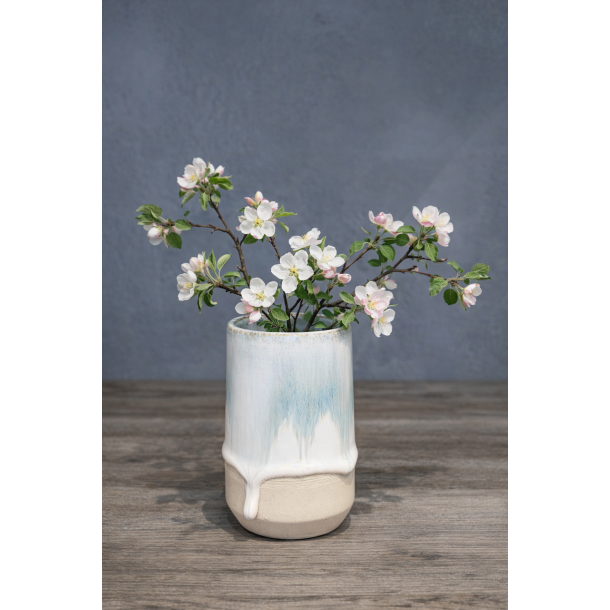 Minivase, Kyst