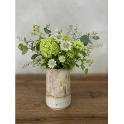 Minivase, Caf� Latte