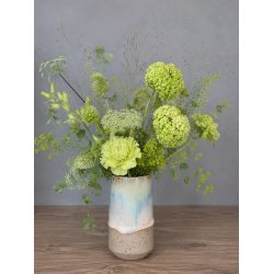 Minivase, Nordlys