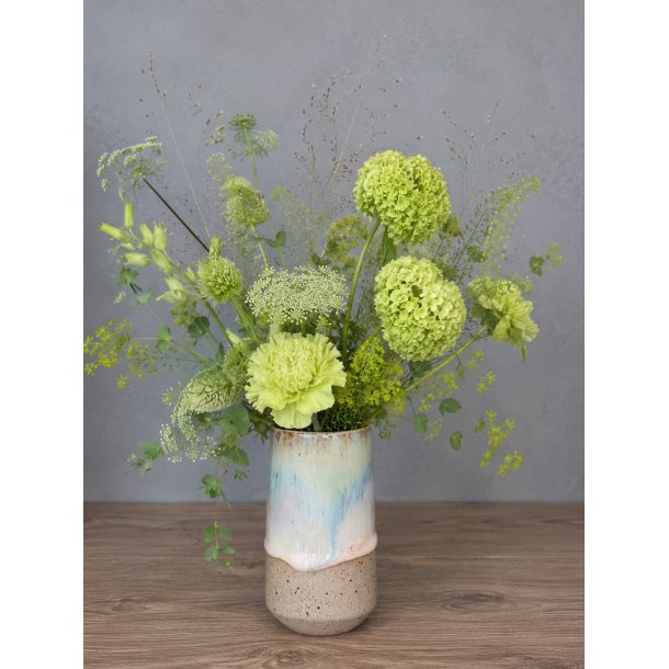 Minivase, Nordlys
