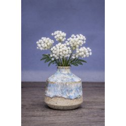 Minivase, Bl�musling