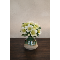 Minivase, Gran