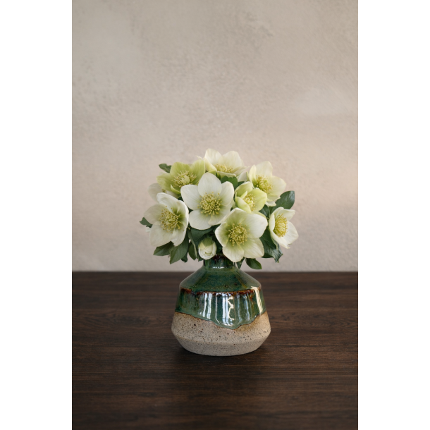 Minivase, Gran