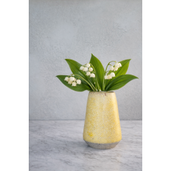 Minivase, Karrygul