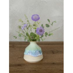 Minivase, Nordlys
