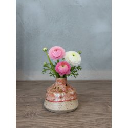 Minivase, Daggry