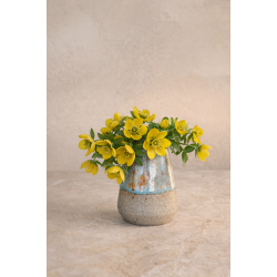 Mini vase, Gr�nmusling