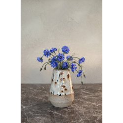 Minivase, Leo