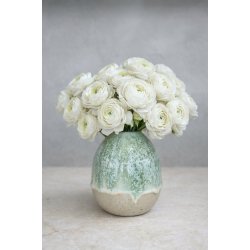 Vase, mellem, Anemone