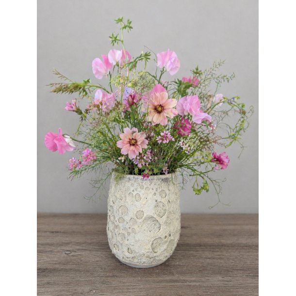 Vase, mellem, Hjertemusling 