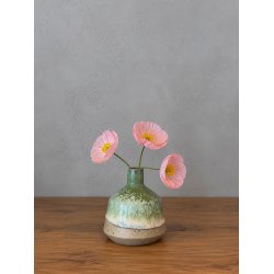 Minivase, Anemone