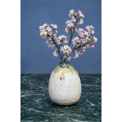 Minivase, Skovbund