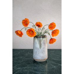 Minivase, Skovbund