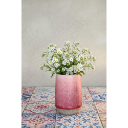Minivase, Rosa