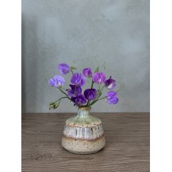 Minivase, Lupin