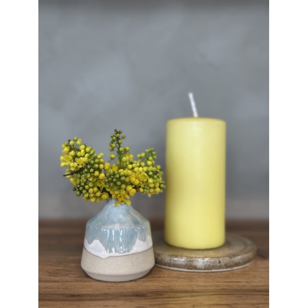 Minivase, Kyst