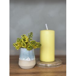 Minivase, Kyst