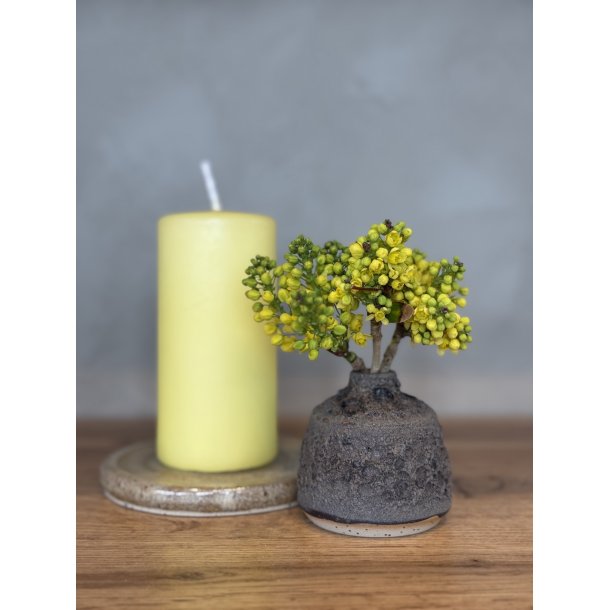 Minivase, Spindsvin