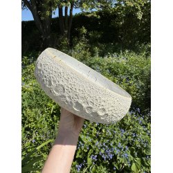 Salatskl, Hjertemusling