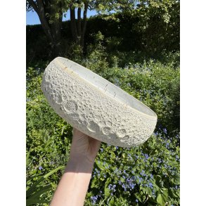 Salatskl, Hjertemusling