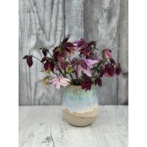 Vase, mellem, Nordlys