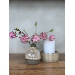 Minivase, Caf� Latte