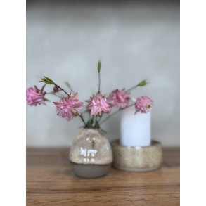 Minivase, Caf� Latte