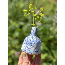Minivase, Bl�plettet