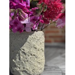 Stor vase, Lige, Hjertemusling