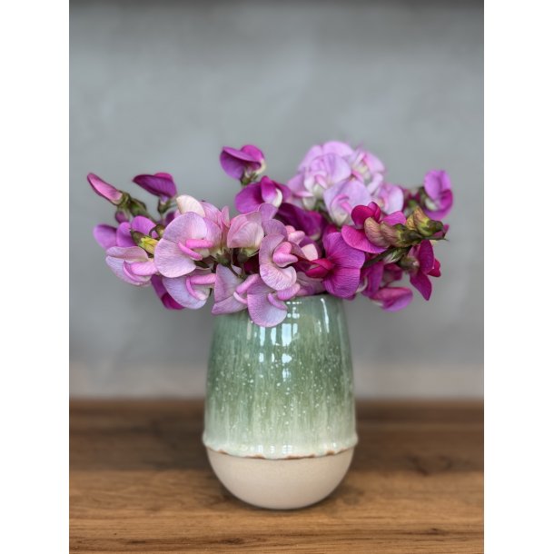 Vase, mellem, Anemone