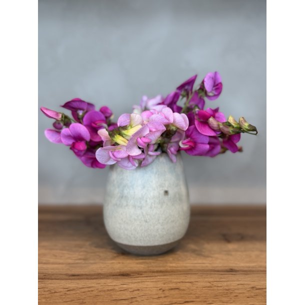 Vase, mellem, Nordisk strand 