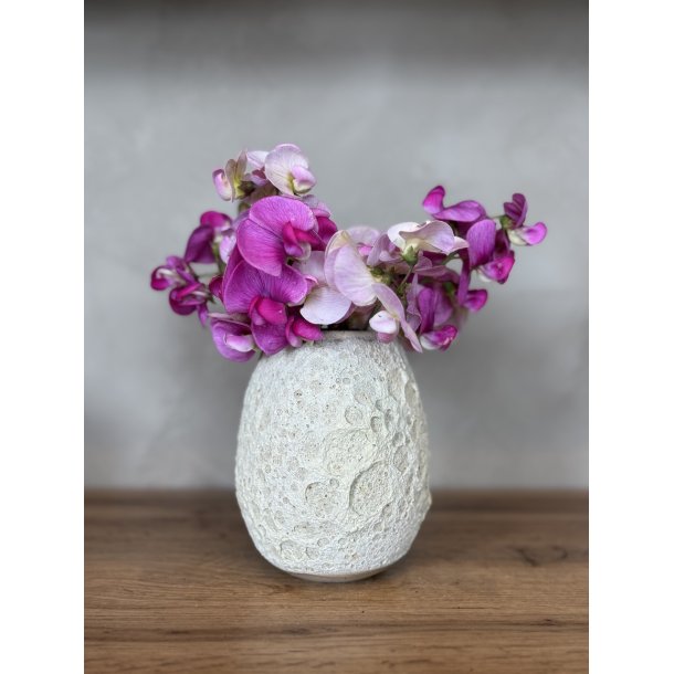 Vase, mellem, Hjertemusling 