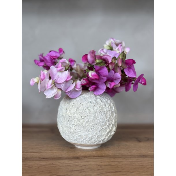 Vase, mellem, Hjertemusling 