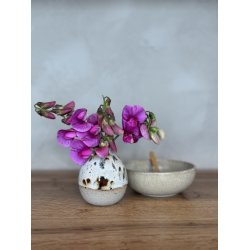 Minivase, Leo