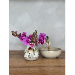 Minivase, Leo