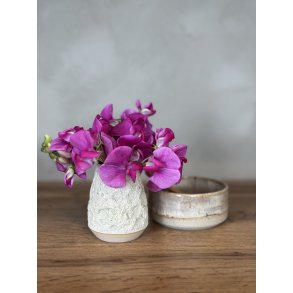 Minivase, Hjertemusling